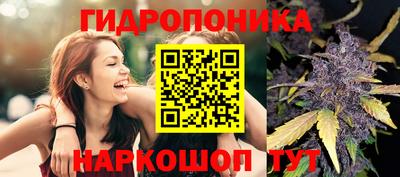Альфа ПВП Будённовск